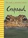 Crapaud