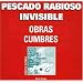 Obras Cumbres