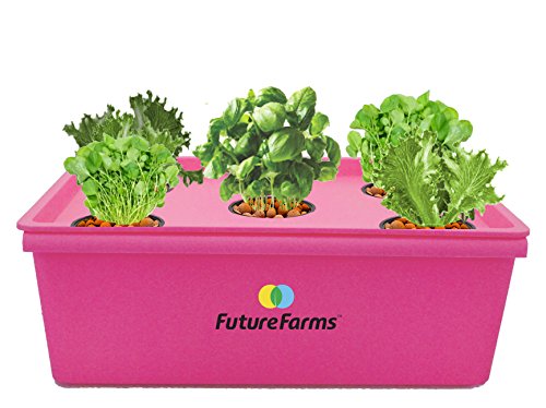 Darwin Penta Hydroponic Starter Kit Fuschia Price In India Buy