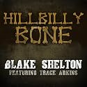 Hillbilly Bone [Feat. Trace Adkins] (Album Version)
