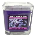 Blooming Lilac Soy Candle- Purple