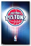 (22x34) Detroit Pistons 2010 Logo Sports Poster Print