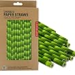 Kikkerland Biodegradable Paper Straws, Bamboo, Box of 144