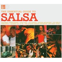 The Essential Guide to Salsa