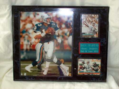 NFL Dan Marino Miami Dolphins Hall of Fame Wall Plaque 2005