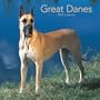 Great Danes 2009 Square Wall Calendar (Multilingual Edition)