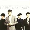 Image of album by The Blow Monkeys