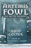 The Arctic Incident