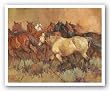 Bart's Buckskin by Suzanne Baker 24"x30" Art Print Poster