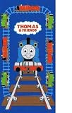 Thomas & Friends Towels