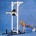 Sporting Goods : Chin Up / Dip / Leg Raise Machine