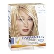 Clairol Nice 'n Easy Hairpainting Blonde Hair Highlights 1 Kit (Pack of 3)