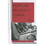 Popular Protest in China (Harvard Contemporary China Series)
