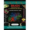 Brain: A 21st Century Look at a 400 Million Year Old Organ