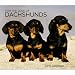 dachshund34 - For the Love of Dachshunds 2010 Deluxe Wall