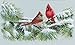 Winter Cardinals Counted Cross Stitch Kit: 15x9