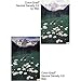 Tiffen 77mm Color Graduated Neutral Density 0.6 Filter