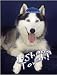 Book Pet Star Jewish New Year Cards - Siberian Husky