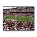 NFL San Francisco 49ers Stadium 22x28 Canvas Art