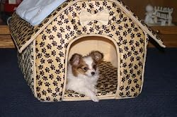 Brand New Pet Dog Cat Bed Cuddler Nest Pad Cage House