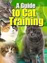 Guide To Cat Training - Not all cats are trainable and some of them are not easy to train.