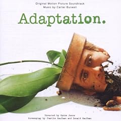 Adaptation