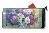 Hydrangea Blossoms Mailwrap