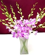 Floral Fresh Cut Orchids - Pink Denbdrobium with Vase