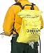 Indian Chief 5-Gallon Heavy-Duty Nylon Fire Pump