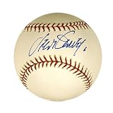 Steve Garvey Autographed Baseball