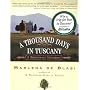 A Thousand Days in Tuscany: A Bittersweet Adventure