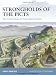 Strongholds of the Picts