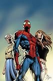 The amazing Spider-Man