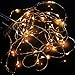 E-Age Battery Operated 20 LED String Lights on Silver Wire 7ft Long. For Use in Floral Arrangements Party, Wedding Decorating and More (Warm White)