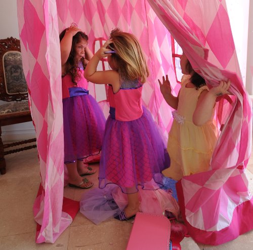 My Princess Academy / Princess Castle Canopy