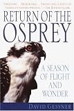 Return of the Osprey: A Season of Flight and Wonder