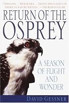 Return of the Osprey: A Season of Flight and Wonder