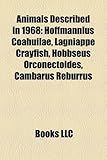 Animals Described in 1968: Hoffmannius Coahuilae, Lagniappe Crayfish, Hobbseus Orconectoides, Cambarus Reburrus-