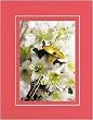 Beautiful and Inspiring 8 x 10 Inches Frame able Easter Floral Note Card (Christ is Risen, Let us Rejoice!) on Double Beveled Matting