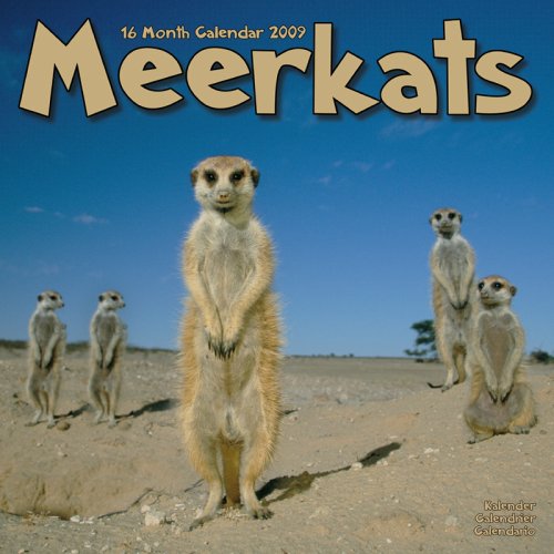 Kalender 2009 Erdmaennchen - Meerkats - Mangusten