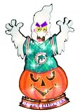 20" Lighted NFL Miami Dolphins "Happy Halloween" Yard Decoration