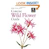 New Holland Concise Wild Flower Guide (New Holland Concise Guides)