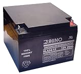 12 VOLT 24 Ah BATTERY
