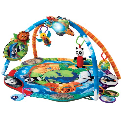 Baby Einstein Around The World Play Gym
