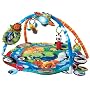 Baby Einstein Around The World Play Gym