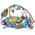 Baby Einstein Around The World Play Gym