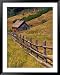Barn on Last Dollar Road near Telluride, Colorado, USA Framed Art Poster Print by Jul...