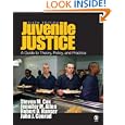 Juvenile Justice: A Guide to Theory, Policy, and Practice by Steven M. Cox, Jennifer M. Allen (Easley), Robert D. Hanser, and John J. Conrad