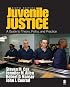 Juvenile Justice: A Guide to Theory, Policy, and Practice