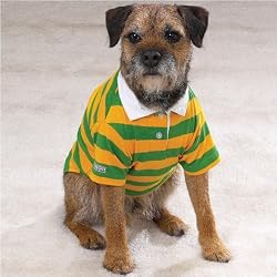 Casual Canine Rugby Polos - Green and Gold X Small